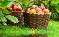 Яблочный Спас: обряды на благополучие и процветание