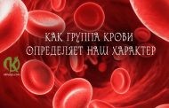Как группа крови определяет наш характер