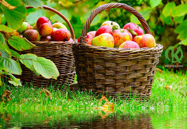 Яблочный Спас: обряды на благополучие и процветание